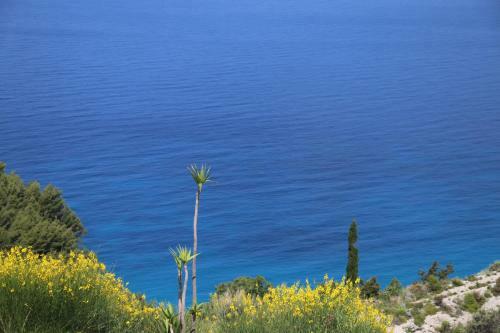 Hostal La Casa D' Irene - Adults Only