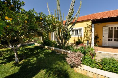 Alex Studios & Apartments