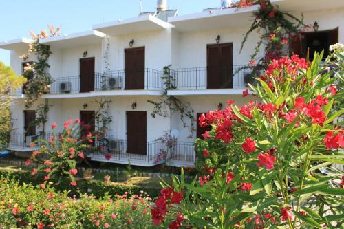 Apartamento Arillas Studios