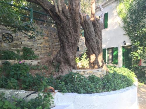 Apartamento Studios Limnionas