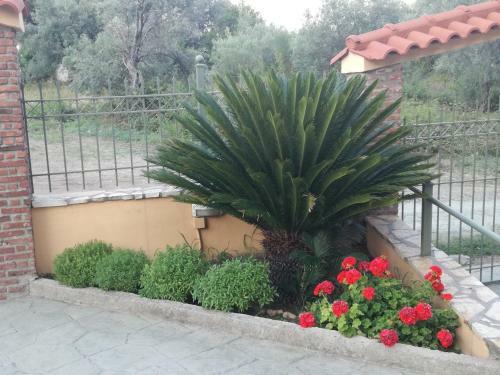 Apartamento Achladi Beach