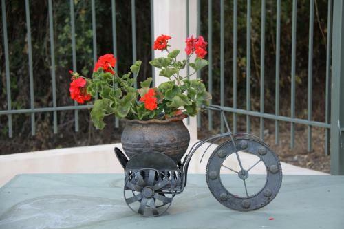 Apartamento Achladi Beach
