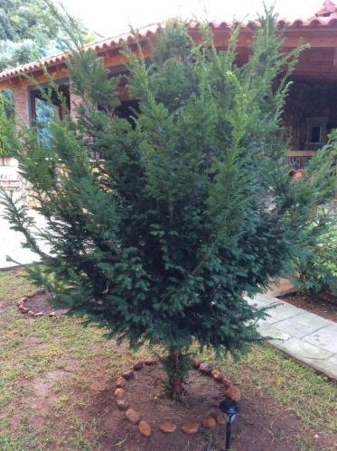 Apartamento Achladi Beach