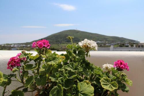 Apartamento Axahas