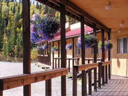 Hotel White Moose Lodge