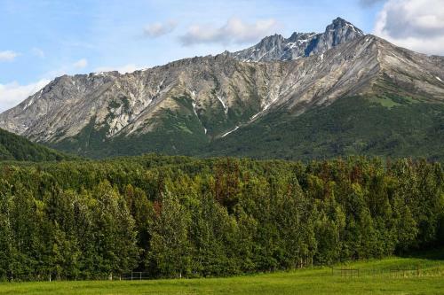 Legacy Mountain Lodge 40-acre Ranch With Views!