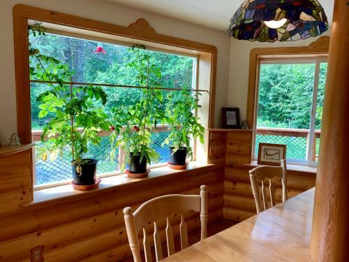 Sourdough Sunrise B&B