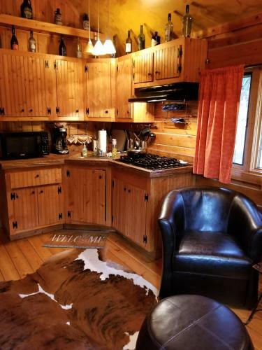 Pet-friendly Log Cabin With Fire Pit On Kenai River!