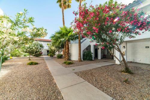 33 Avenida Pool View Studio New To Market Avenida King Bed Ds