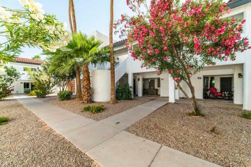 33 Avenida Pool View Studio New To Market Avenida King Bed Ds