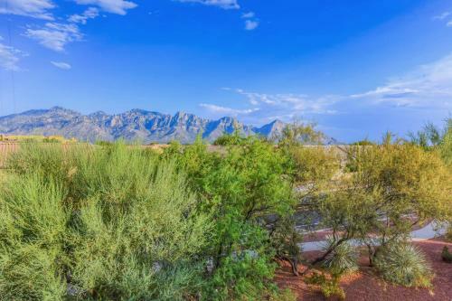 Catalina Mountain Views #212