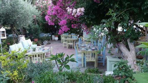Aparthotel Harry's Paradise