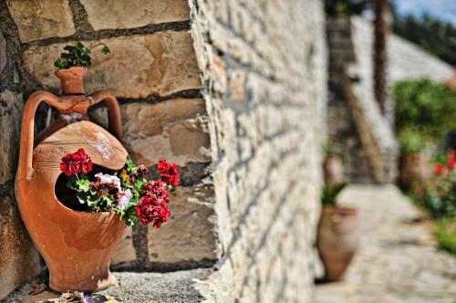 Elena-pelagia Villas