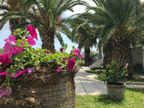 Apartamento Santa Catalina