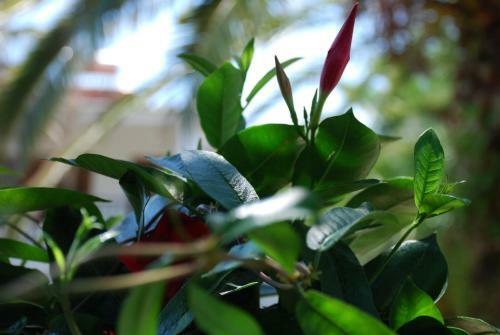 Apartamento Santa Catalina