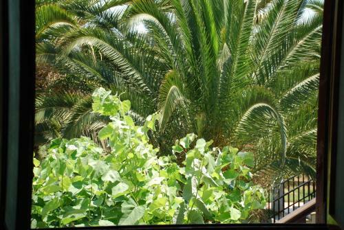Apartamento Santa Catalina