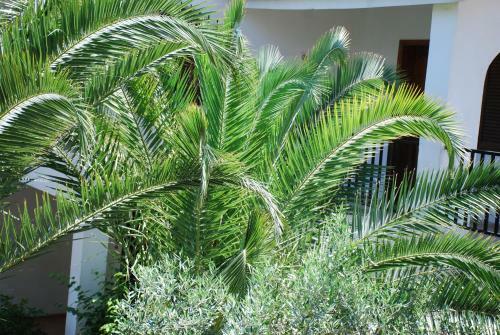 Apartamento Santa Catalina