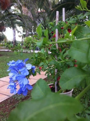 Apartamento Santa Catalina