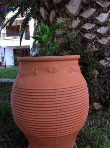Apartamento Santa Catalina