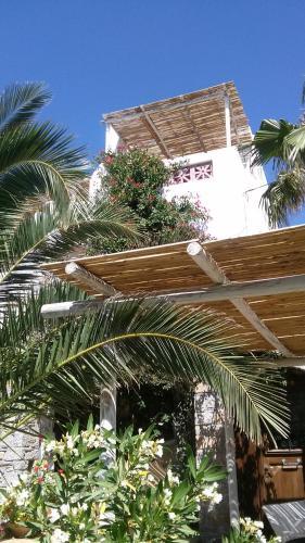 Apartamento Villa Katapoliani No.3
