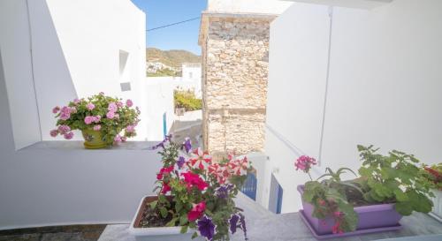 Apartamento Pension Barbara