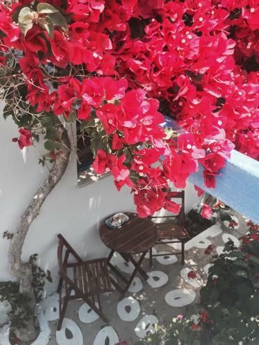 Apartamento Pension Galini