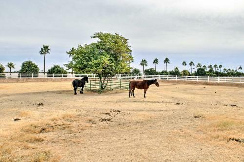 Luxurious Surprise Abode On A Citrus And Horse Ranch!