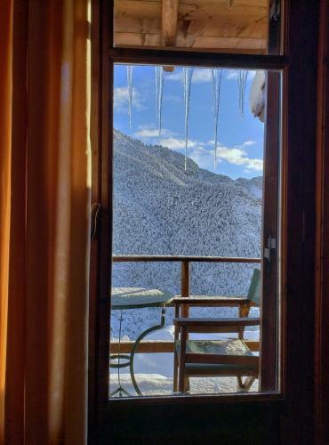 Hostal Dryades Guesthouse