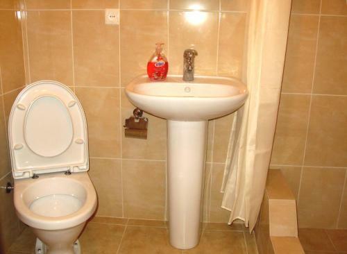 Hostal Guesthouse Lenjeri
