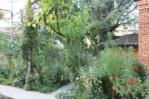 Hostal Tlt Guest House