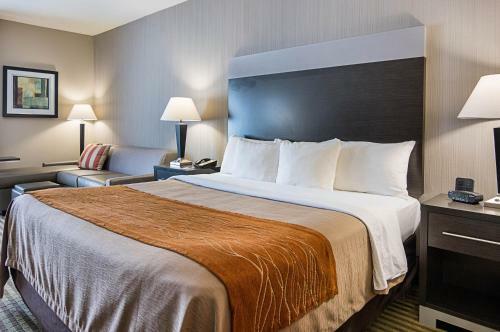 Hotel Comfort Inn