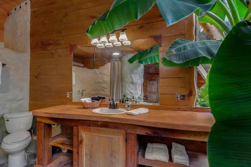 Pool Open! - The Hobbit House - Unique Arkansas Getaway!