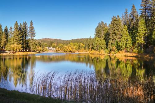 Lakeview Lodge