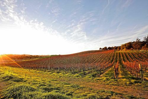 Pet-friendly Home - 3 Mi To Golf Course And Wineries