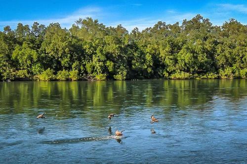 Apartamento Sacramento River Retreat On The Rivers Edge!