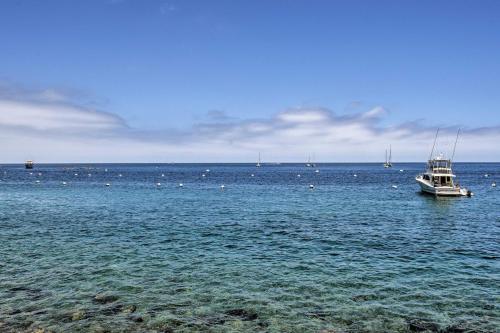 Catalina Island Cottage - Walk To Main St And Beach!