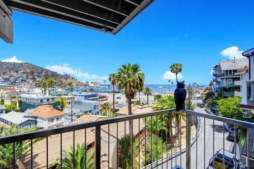 11 Lower Terrace By Catalina Vacations