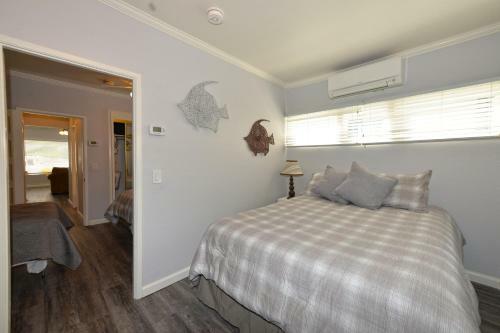 323 Clemente By Catalina Vacations