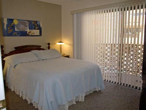 Bahia Vista Condos By Catalina Vacations