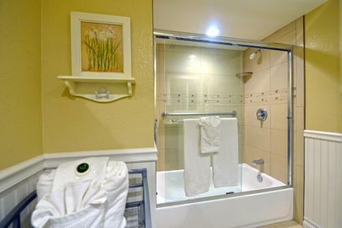 Bahia Vista Condos By Catalina Vacations