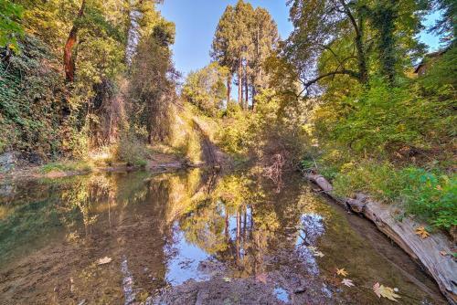 Riverfront Cottage In Redwoods With Decks And Beach!