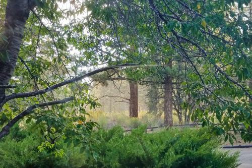 Cherry Tree Lodge