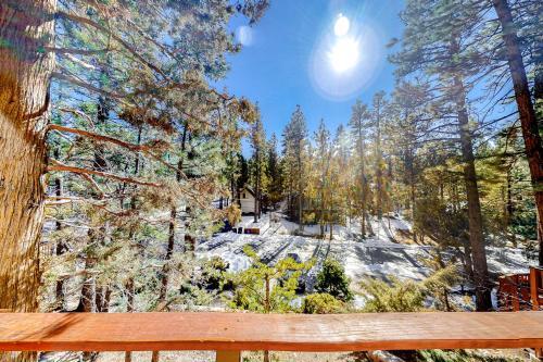 The Wilkie Cabin