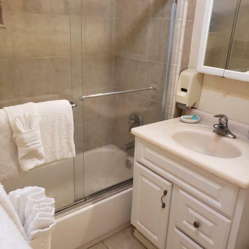 Hotel Grey Squirrel Resort