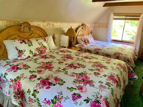 Hotel Grey Squirrel Resort