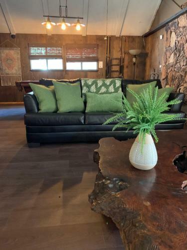 Hotel Grey Squirrel Resort
