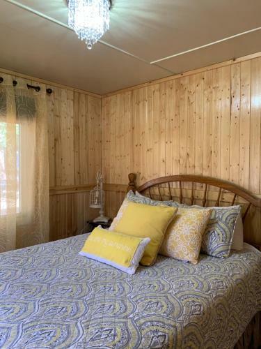 Hotel Grey Squirrel Resort