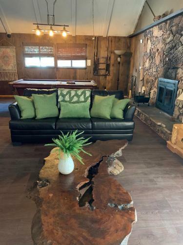 Hotel Grey Squirrel Resort