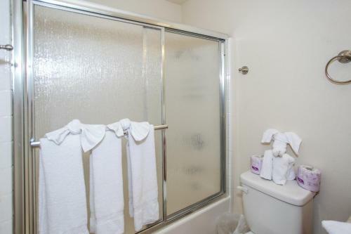 Ben's Cool Cabin