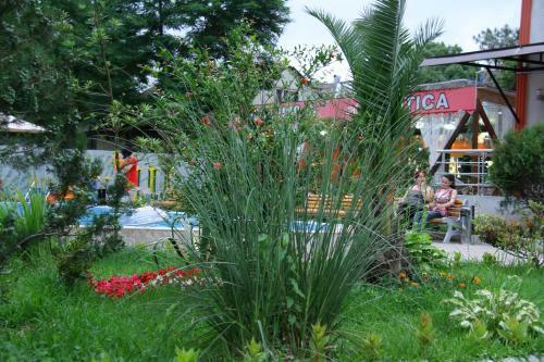 Hotel Exotica